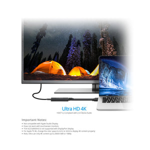 HDMI 2.0 to USB-C 4K60Hz